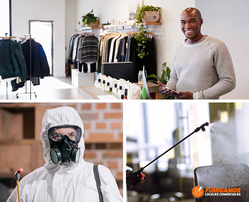 fumigacion-de-locales-comerciales-exterminacion-control-plagas-1 fumigacion-de-locales-comerciales-exterminacion-control-plagas-1